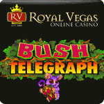 royal vegas bush telegraph