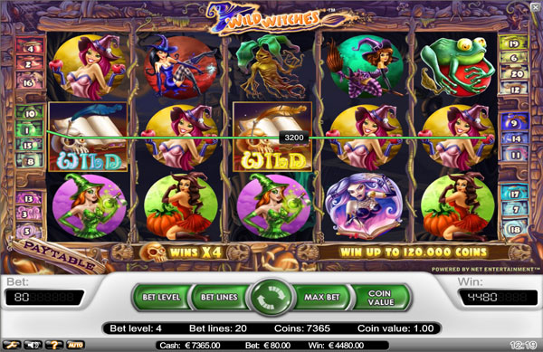 Wild Witches Casino Euro
